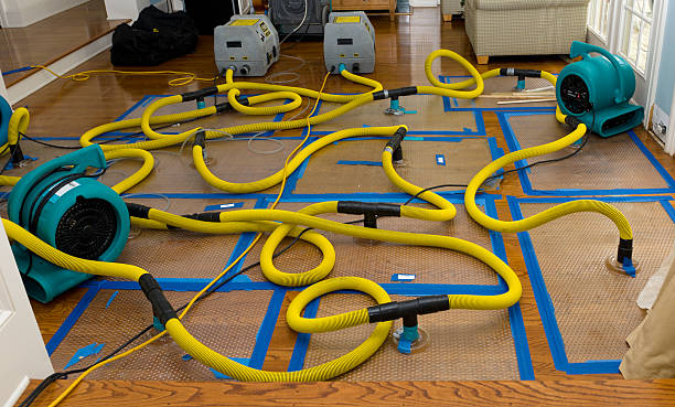 Professional Flood Damage Restoration technician working in Saint John, WA